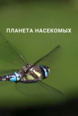 Планета насекомых (2022)